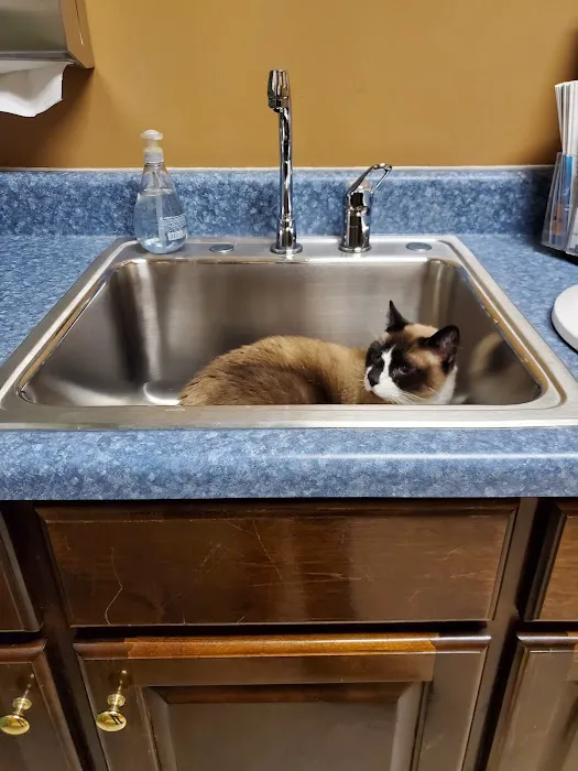 Best Friends Animal Hospital Picture 9