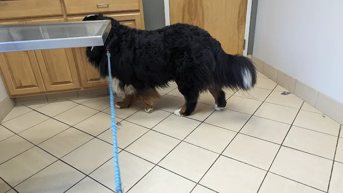 Animal Health Care Center Picture 2