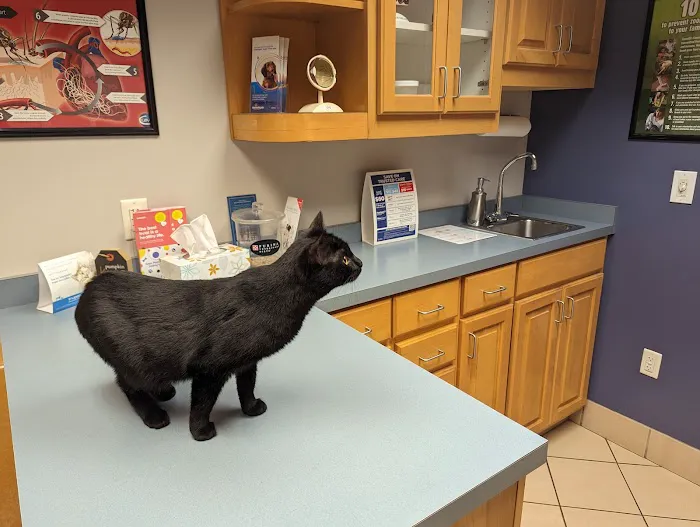 Animal Health Care Center Picture 5