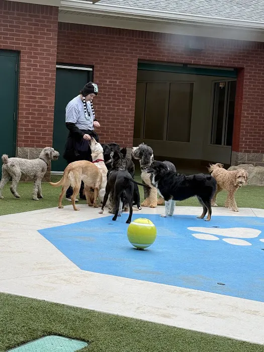 Animal Health Care Center Picture 4