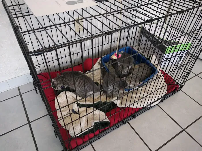 Madison Animal Care Hospital Picture 4
