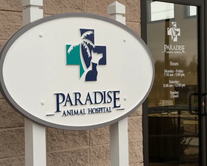 Paradise Animal Hospital Picture 7