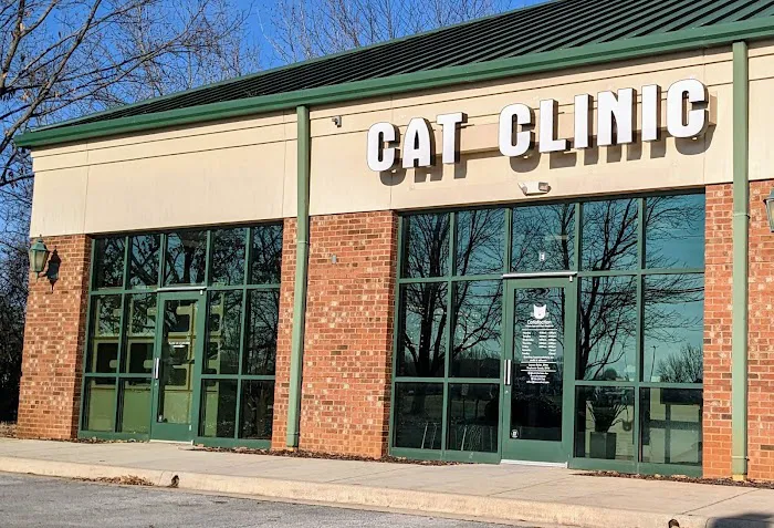 Catisfaction Cat Clinic Picture 9