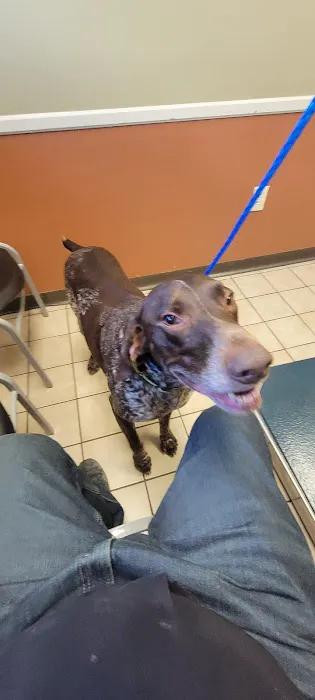 Animal Care Clinic & Hospital Picture 10