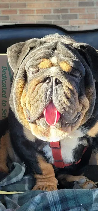Pet-Agrees Wellness Services Picture 2