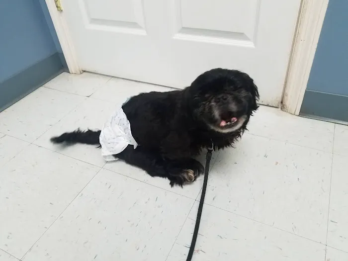 White County Veterinary Hospital Picture 2