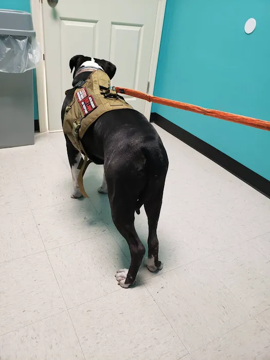 Moses Animal Clinic Picture 8