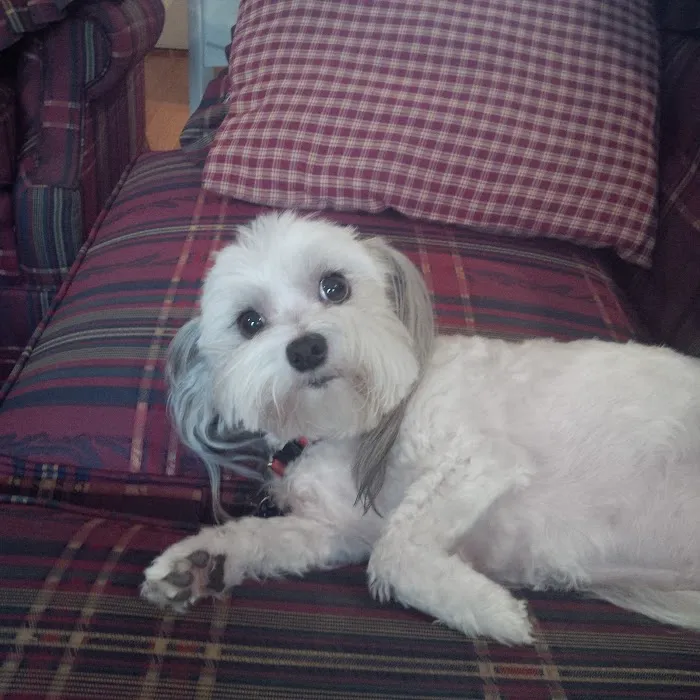 Chickamauga Veterinary Clinic Picture 3