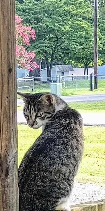 Chickamauga Veterinary Clinic Picture 9