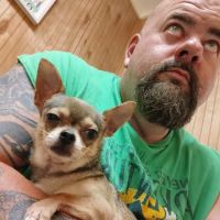 Cornerstone Veterinary Service ico