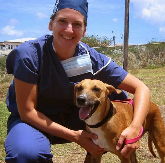 Chattanooga Holistic Animal Institute Picture 5
