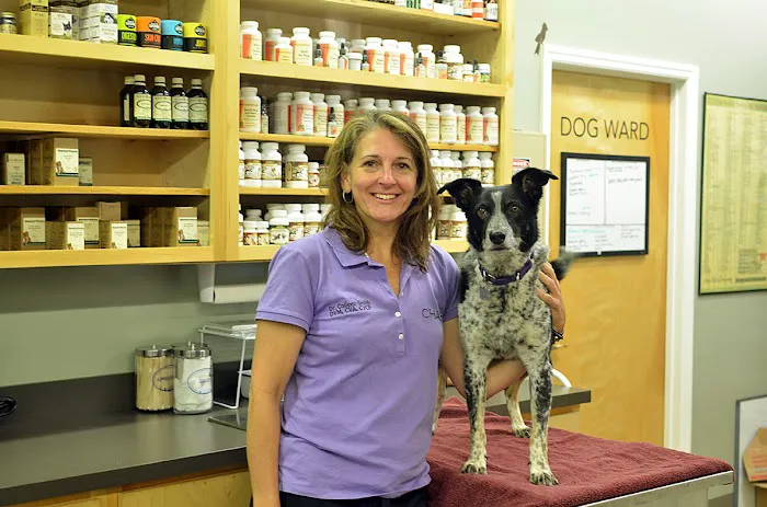Chattanooga Holistic Animal Institute Picture 7