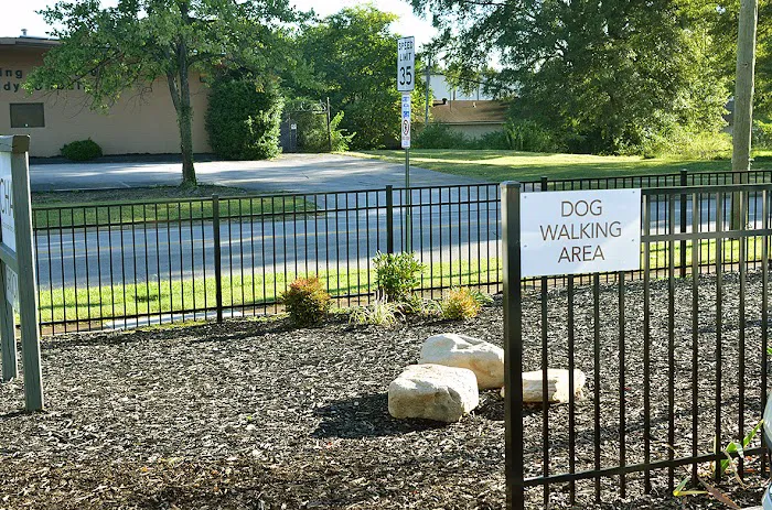 Chattanooga Holistic Animal Institute Picture 6