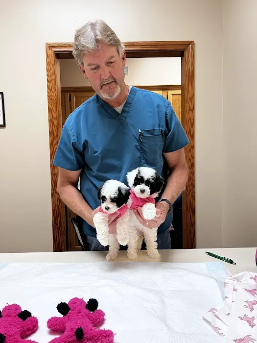 Mountain Top Animal Clinic Picture 6