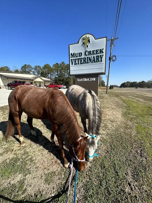 Mud Creek Veterinary Services Picture 2