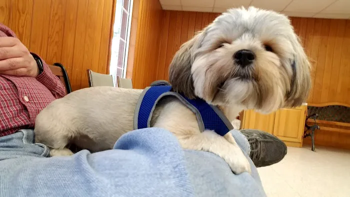 Scottsboro Pet Care Picture 4