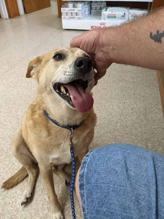Scottsboro Pet Care Picture 5