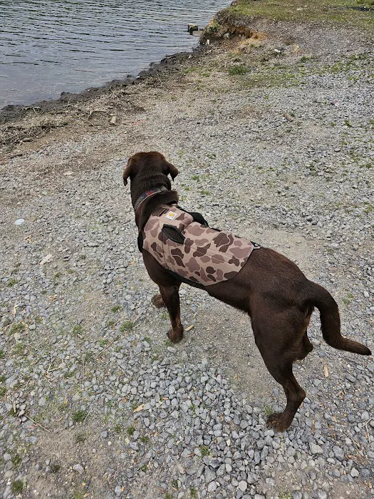 Scottsboro Pet Care Picture 6