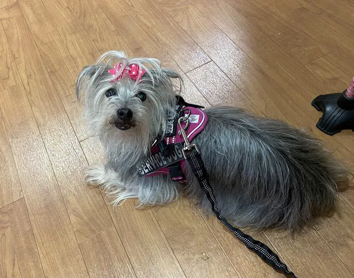 Scottsboro Pet Care Picture 8