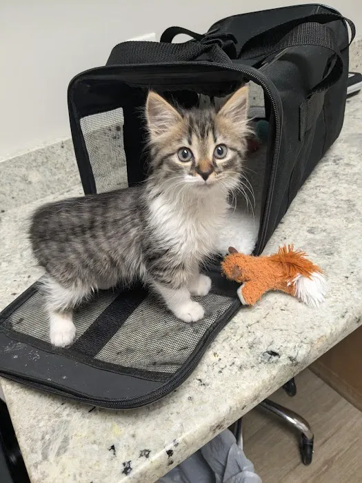 Parkview Animal Wellness Picture 3
