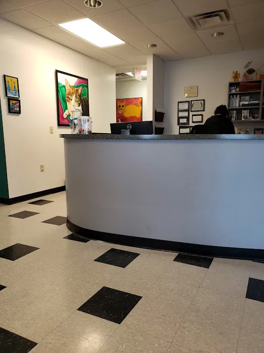 Cat Clinic of Chattanooga Picture 1