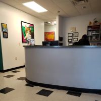 Cat Clinic of Chattanooga ico