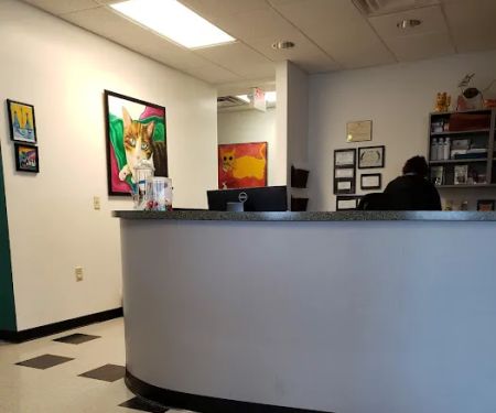 Cat Clinic of Chattanooga