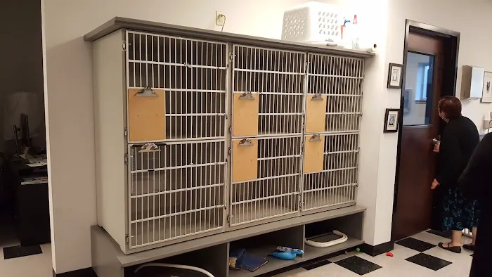 Cat Clinic of Chattanooga Picture 3