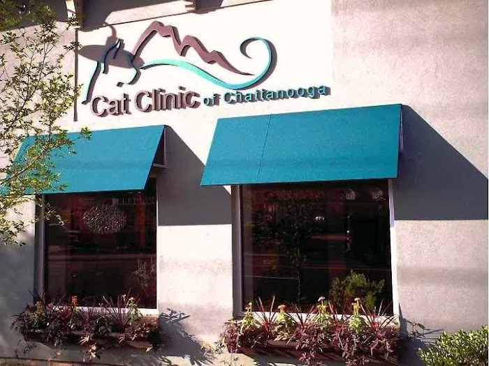 Cat Clinic of Chattanooga Picture 7
