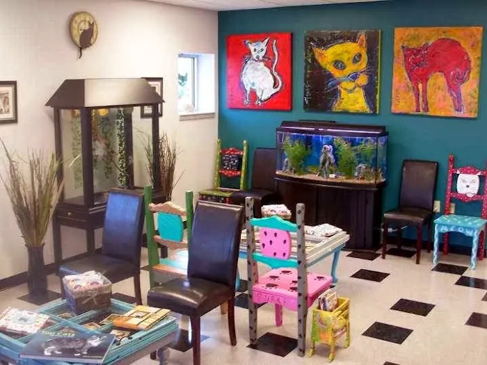 Cat Clinic of Chattanooga Picture 5