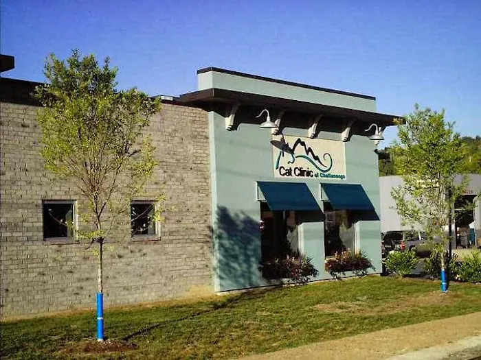 Cat Clinic of Chattanooga Picture 9