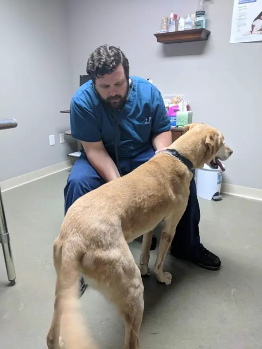 North Shore Pet Wellness Center - Dr Jordan Mracna, DVM Picture 1