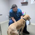 North Shore Pet Wellness Center - Dr Jordan Mracna, DVM
