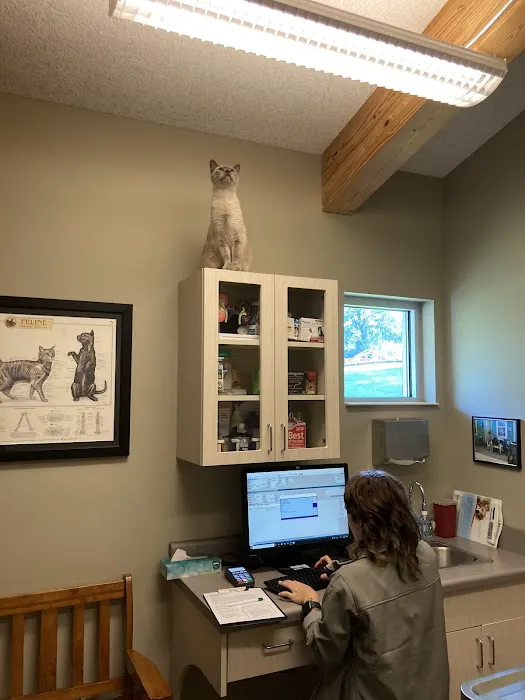 Riverview Animal Hospital Picture 1