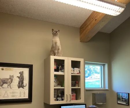 Riverview Animal Hospital