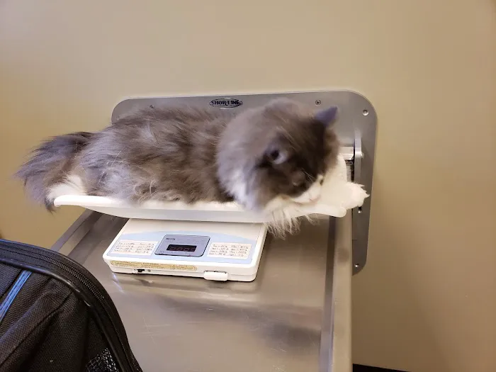 Riverview Animal Hospital Picture 10