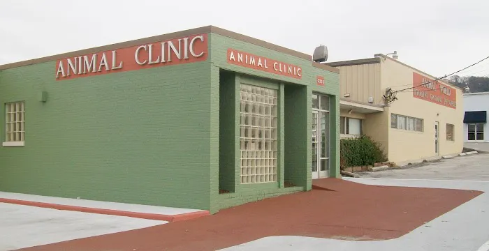 Animal Clinic Downtown Picture 4