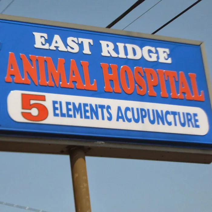 East Ridge Animal Hospital: Robert Knarr, DVM Picture 3