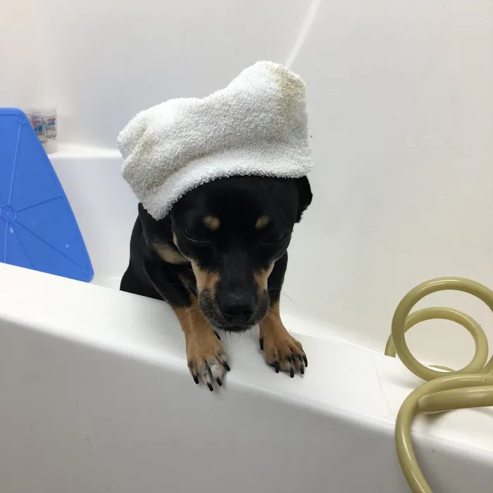 East Ridge Animal Hospital Picture 10