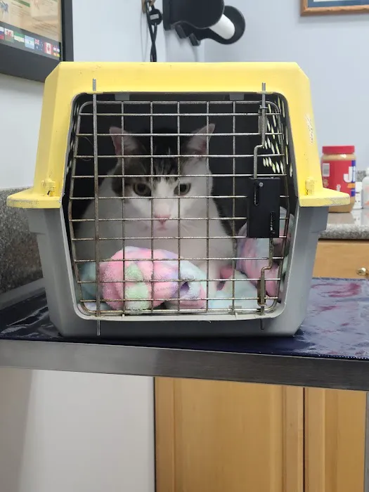 East Ridge Animal Hospital Picture 8