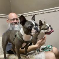 Animal Hospital of Signal Mountain ico