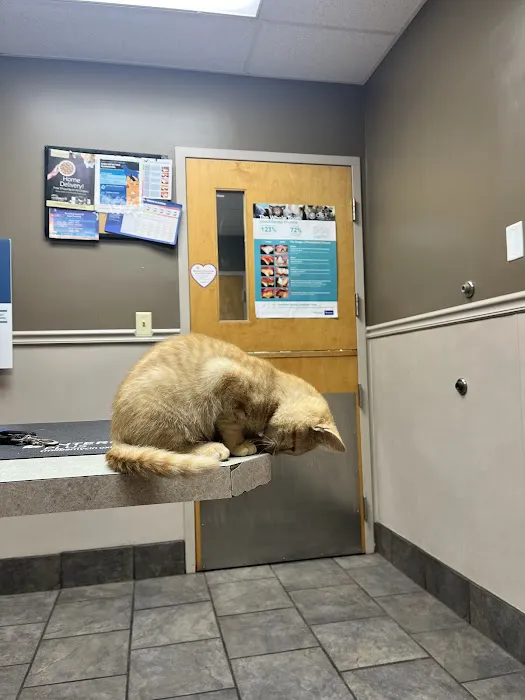 Animal Hospital of Signal Mountain Picture 5