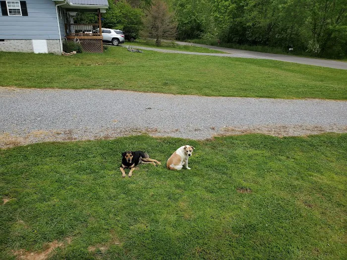 Animal Hospital of Signal Mountain Picture 10