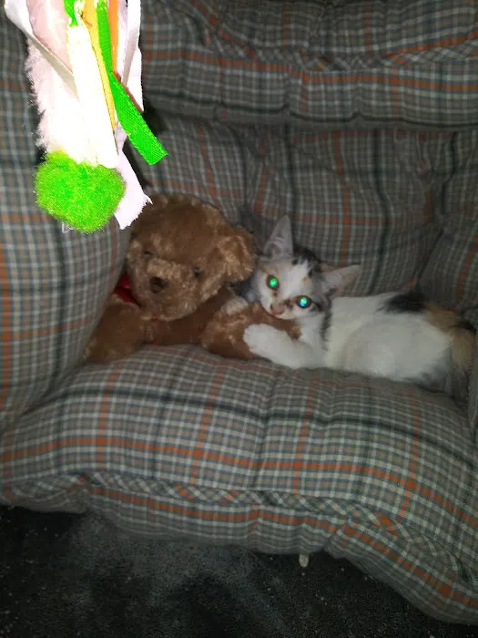 Red Bank Animal Hospital: Boggan Elizabeth DVM Picture 4