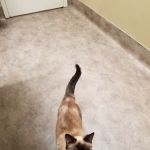 Ashland Terrace Animal Hospital