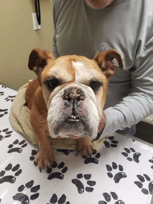 Ashland Terrace Animal Hospital Picture 5