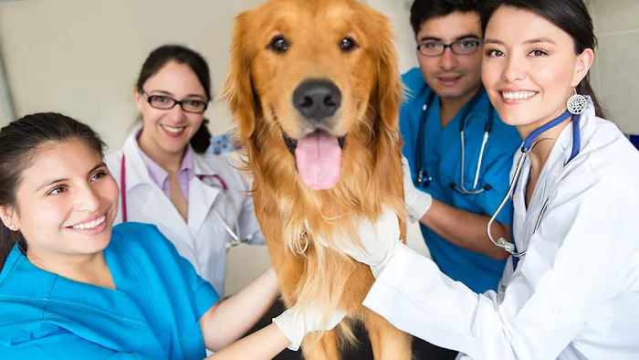 Ashland Terrace Animal Hospital Picture 10