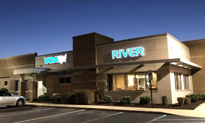 VCA Regional Institute for Veterinary Emergencies and Referrals Picture 9