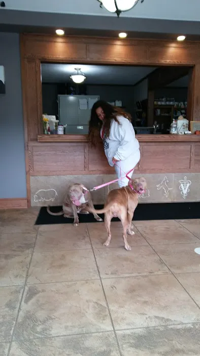 South Central Pet Care Picture 4