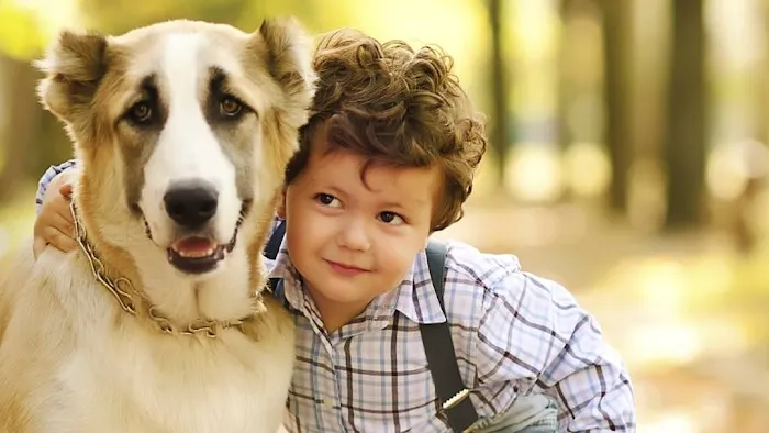 South Central Pet Care Picture 10